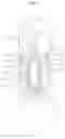 Fig. 10 - Tappet