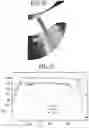 Fig. 12 - Fuel Injector and Nozzle Passages Therefor