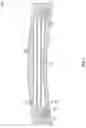 Fig. 04 - Hydrostatic seal with abradable teeth for gas turbine engine