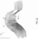 Fig. 12 - Gas turbine combustor having a plurality of angled vanes circumferentially spaced within the combustor