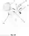 Fig. 26 - Internal carburetor purging device and method of use thereof