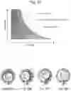 Fig. 33 - Compressor with mechanical seal