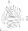 Fig. 52 - Compressor with mechanical seal