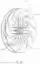 Fig. 19 - Centrifugal fan