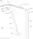 Fig. 01 - Propeller blade