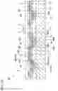 Fig. 11 - Radial foil bearing