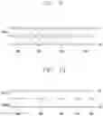Fig. 06 - Car lamp using half mirror and semiconductor light emitting device