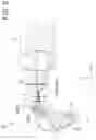 Fig. 06 - Vehicular lamp