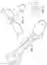 Fig. 02 - Vision enhancing light clip