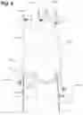 Fig. 05 - Flare pilot and flare pilot with ignitor assembly