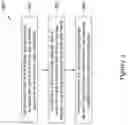 Fig. 04 - Method and system for starting an intermittent flame-powered pilot combustion system