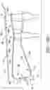 Fig. 08 - Unitary flow path structure