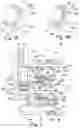 Fig. 04 - Lean burn fuel injector