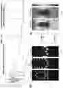 Fig. 22 - Systems and methods for radiative cooling and heating