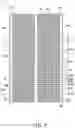 Fig. 08 - Heat exchanger