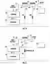 Fig. 04 - LOW PRESSURE REFRIGERANT SYSTEM