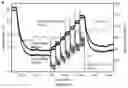 Fig. 10 - Passive radiative cooling during the day