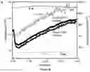 Fig. 19 - Passive radiative cooling during the day