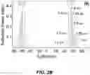 Fig. 05 - Sensor for hyperspectral imaging based on a metasurface-integrated light detector array