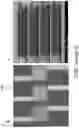 Fig. 18 - Frequency-selective metasurface integrated uncooled microbolometers