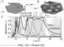Fig. 42 - Frequency-selective metasurface integrated uncooled microbolometers