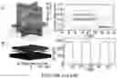 Fig. 50 - Frequency-selective metasurface integrated uncooled microbolometers