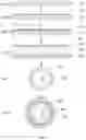 Fig. 04 - Blackbody radiation source
