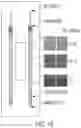 Fig. 25 - Methods and devices for high throughput purification