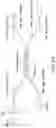 Fig. 65 - Method and apparatus for determining particle characteristics utilizing a plurality of beam splitting functions and correction of scattered light