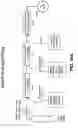 Fig. 20 - METHODS AND DEVICES FOR MULTI-STEP CELL PURIFICATION AND CONCENTRATION