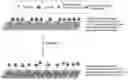 Fig. 01 - Method and system for separating biomolecules from a mixture containing same