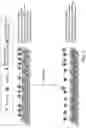 Fig. 02 - Method and system for separating biomolecules from a mixture containing same