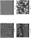 Fig. 05 - Method and system for separating biomolecules from a mixture containing same