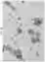 Fig. 09 - METHODS OF MEASURING EXOSOMES USING INTRINSIC FLUORESCENCE