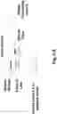 Fig. 09 - Colorimetric assays