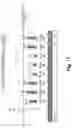 Fig. 22 - Colorimetric assays