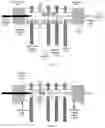Fig. 04 - Miniaturized pulsed discharge ionization detector, non-radioactive ionization sources, and methods thereof