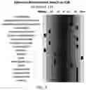 Fig. 08 - SMALL MOLECULE BIOCHEMICAL PROFILING OF INDIVIDUAL SUBJECTS FOR DISEASE DIAGNOSIS AND HEALTH ASSESSMENT