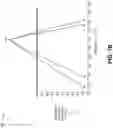 Fig. 09 - Spectroscopic classification of conformance with dietary restrictions