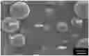 Fig. 01 - Stimuli responsive microsphere composites