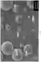 Fig. 02 - Stimuli responsive microsphere composites