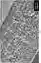 Fig. 03 - Stimuli responsive microsphere composites