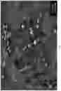 Fig. 04 - Stimuli responsive microsphere composites