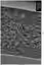 Fig. 08 - Stimuli responsive microsphere composites