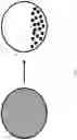 Fig. 09 - Stimuli responsive microsphere composites