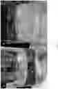 Fig. 16 - Stimuli responsive microsphere composites