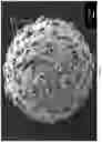 Fig. 20 - Stimuli responsive microsphere composites