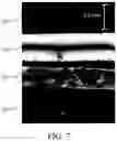 Fig. 08 - DETECTION DEVICE AND DETECTION SYSTEM