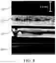 Fig. 09 - DETECTION DEVICE AND DETECTION SYSTEM
