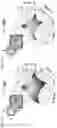 Fig. 09 - Method for organizing individual molecules on a patterned substrate and structures assembled thereby
